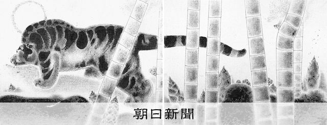 AS20220104001128_comm.jpg