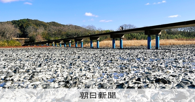 AS20220114001677_comm.jpg