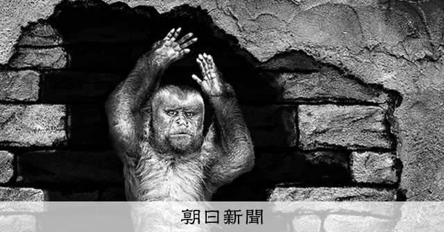 まっすぐに、射抜く 第82回国際写真サロン：朝日新聞