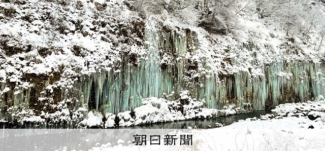 巨大なつらら群、「すごい！」 木曽町 [長野県]：朝日新聞