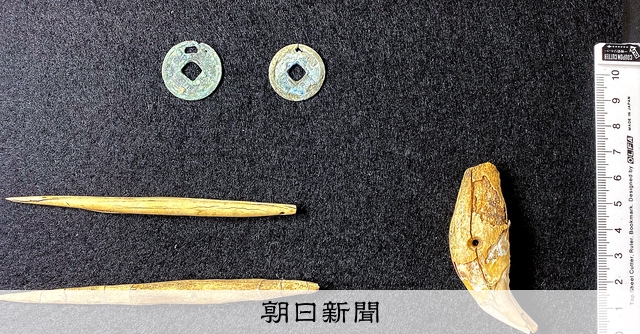 聖寿寺館跡でクマの犬歯の装飾品 国内初、アイヌ民族が長期滞在か