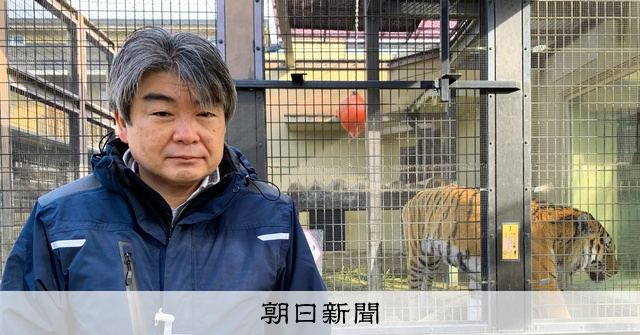 トラに襲われ飼育員死亡 園長が語る 那須サファリの事故はどう見た 朝日新聞デジタル