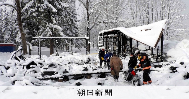 せし太郎様専用 笹の雪 黄虎斑 金色堂 HOME | Shumarinai Forced