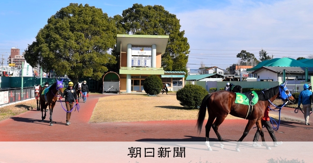 寅さんも来た名古屋の ドンコ競馬 73年の歴史に間もなく幕 朝日新聞デジタル
