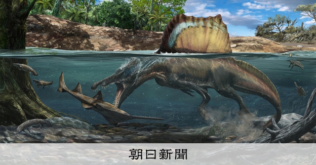史上最大の肉食恐竜スピノサウルスは水中暮らし 骨密度などから判明 朝日新聞デジタル