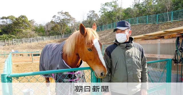 引退した競走馬が 第二の人生 益田のさんさん牧場 朝日新聞デジタル