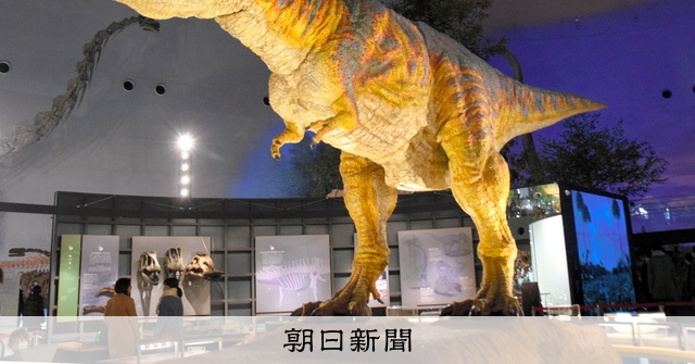 1億年前の石 恐竜 化石 ティラノサウルス Tレックス頭蓋骨、サザビーズで競売へ 7600万年前、極めて高い