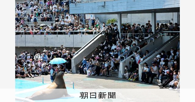 セイウチショーに立ち見客 うみたまごに県外ナンバーも [大分県]：朝日新聞