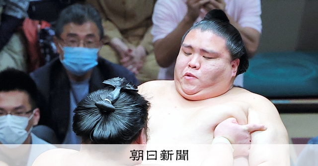 超激レア品⭐️なりきり大相撲一番勝負 jambalaya_24sumo-62
