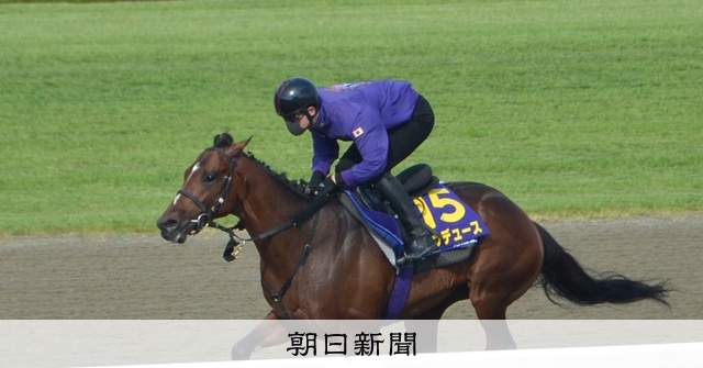 日本ダービー、武豊騎手が乗るドウデュース優勝 イクイノックス2着