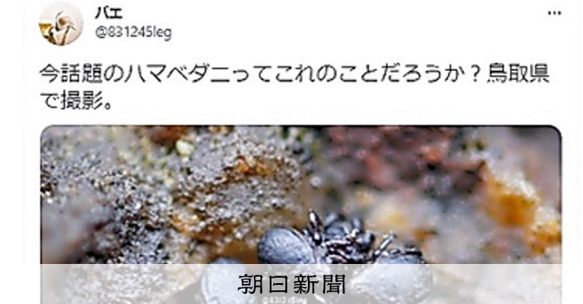 ダニ学名「リツイート」 ツイッターきっかけ、新種と判明：朝日新聞