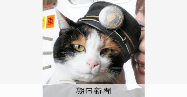 歴代「たま駅長」の写真、持っていませんか？ 写真集発刊へ一般