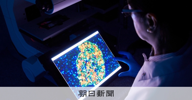 臓器移植用のブタ、米ではもうビジネス競争？ 「異種移植は希望