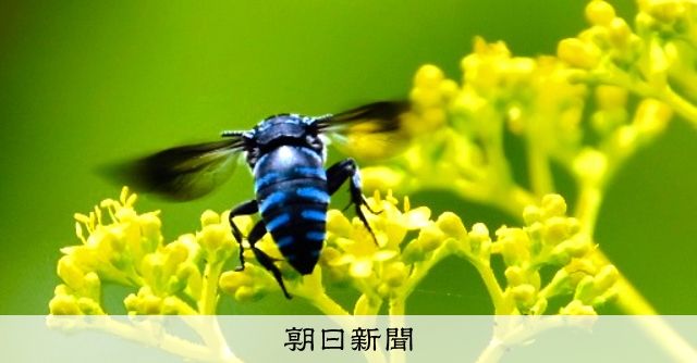 AS20220722003763_comm.jpg