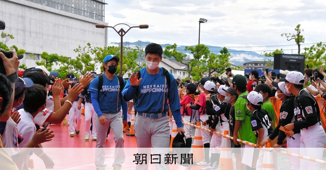 【セット】松山 坊ちゃんスタジアム オールスターゲーム ボール NPBオフィシャルオンラインショップ