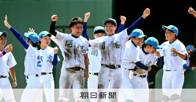 シンさま専用　PL学園高校硬式野球部ウェア 2025モデル】ウィルソンスタッフ 硬式 木製バット ビーチ 84cm