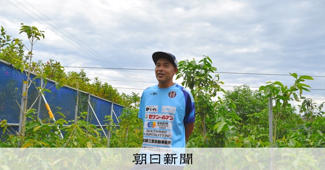 元日本代表・高原直泰さん、北緯26度で目指す5000杯の収穫：朝日新聞