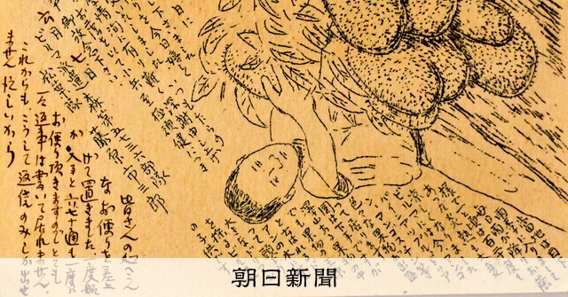 戦場で描いたビルマの日常と動物たち 妻に宛てた「異色」の軍事