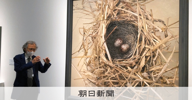 聖なるもの 野田弘志画集/求龍堂/野田弘志（大型本） 求龍堂：聖なるもの 野田弘志画集