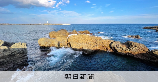 うみがめ！ img_cd59b6e9983a4e5ddec2bcd291