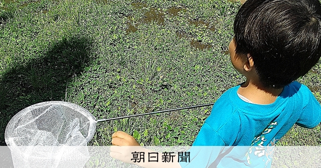 羽むしる・ふんづける…子どもが虫にいたずら、親は 程度に気をつけて、そっと見守り 元生物の教員に聞く:朝日新聞