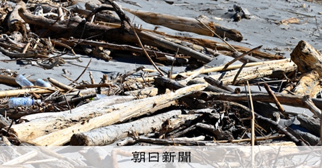 カメの産卵地に台風の 忘れ物 流木が長さ50キロの海岸線に 朝日新聞デジタル カメの産卵地に台風の 忘れ物 流木が長さ50キロの海岸線に 朝日新聞デジタル