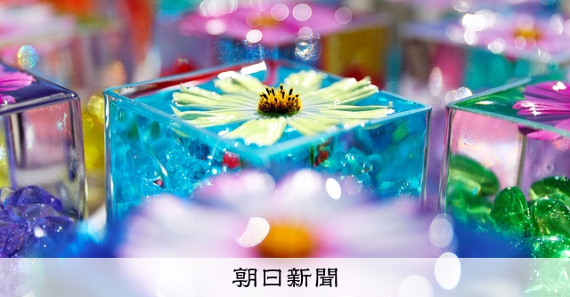 コスモス寺」の境内に添える彩り きらめくガラスのキューブ 奈良：朝日新聞