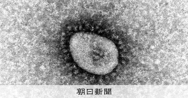 長野県内のコロナ新規感染者が3821人を記録 過去最多を更新 [長野県