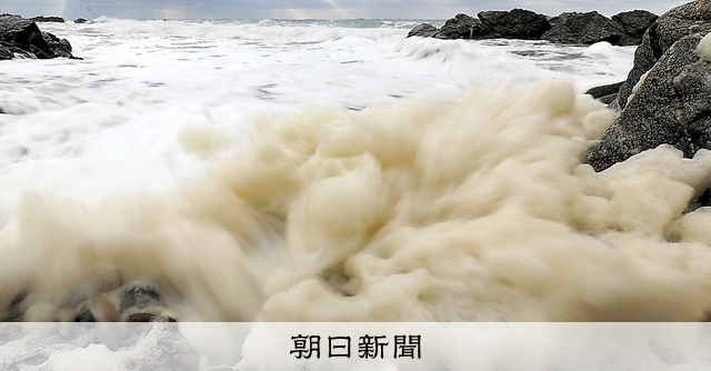 （フォト）栄養満点、冬の贈り物 日本海の「波の花」：朝日新聞
