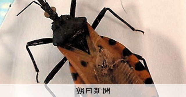 ガンは伝染する! : 恐るべき寄生虫症の真相 Amazon.co.jp: ガンは伝染する: 恐るべき寄生虫症の真相 : 笹川