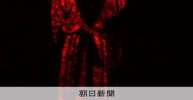 神峰干支体象詩 神峰通考干支体象詩(神峰張楠 著 ; 平岡滴宝 訳) / 古本、中古本
