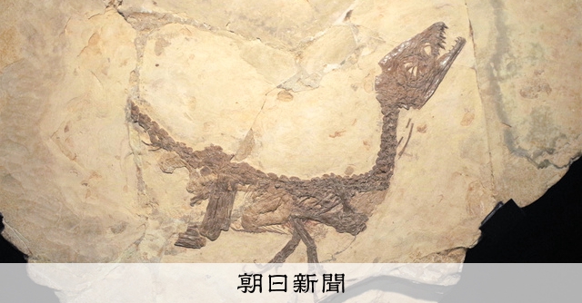 スキピオニクス スキピオニクス - Wikipedia