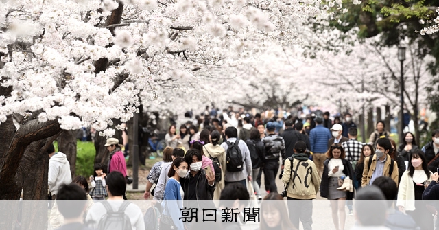花見客、笑顔は満開 早くも桜七分咲きの大阪城公園 [大阪府]：朝日新聞