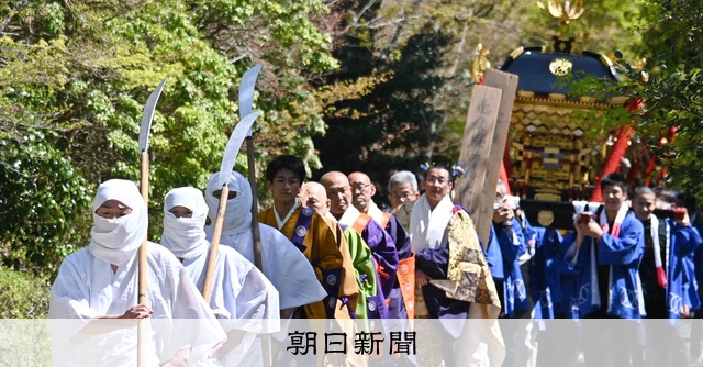 中津の桧原マツ、4年ぶりに一般公開 みこしの担ぎ手に高校生加勢 [大分
