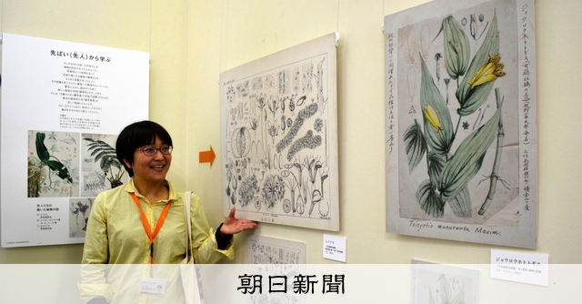 牧野富太郎が見た茨城の草木 科博筑波実験植物園で企画展 [茨城県