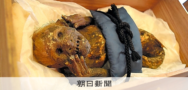 人魚のミイラ、真偽超えた価値 科学的な検証は脇に「楽しむ心が大切