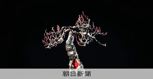 G7取材拠点に飾られた「黒光り」盆栽 じいちゃんの遺品をアートに