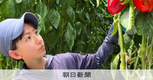 フェイスブック