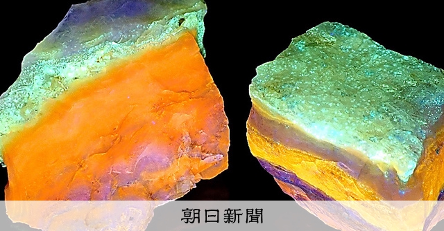 紫外線で輝く新鉱物「北海道石」 植物化石＋高温水で結晶化？：朝日新聞