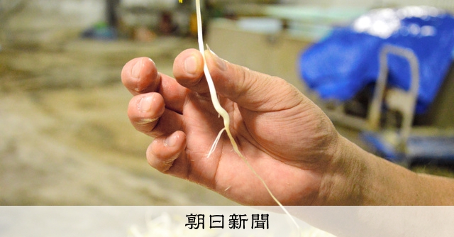 ミキサーの価値は何ですか?