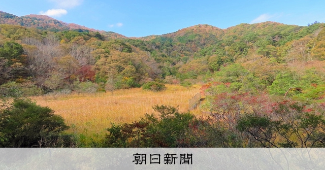 奥びわ湖・山門水源の森が「自然共生サイト」認定 18日にシンポ [滋賀県]：朝日新聞