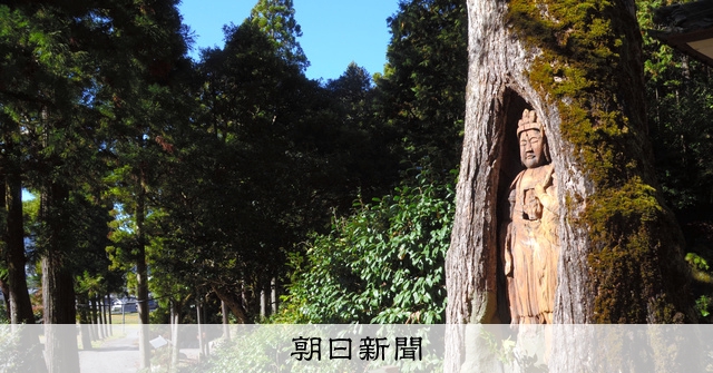 観音菩薩　（幕末～明治初期） 古美術 波兎 / 金銅観音菩薩立像 白鳳時代
