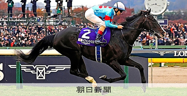 賞金王イクイノックス引退 競馬「有馬記念」出走せず、種牡馬に：朝日新聞