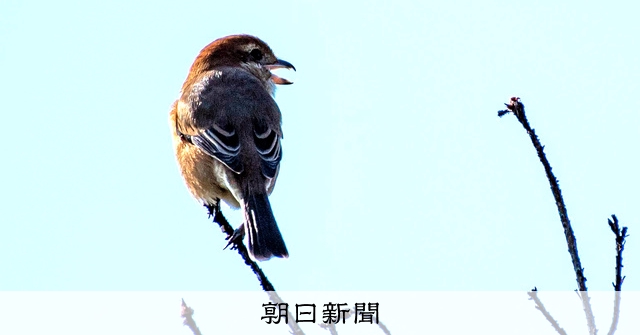 AS20240111002605_comm.jpg