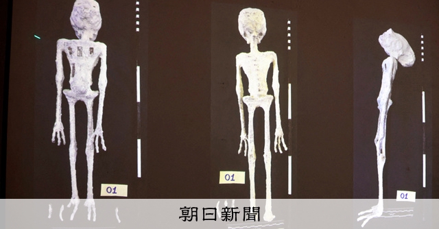 メキシコ議会に登場「宇宙人」の正体は ペルー調査では「地球由来