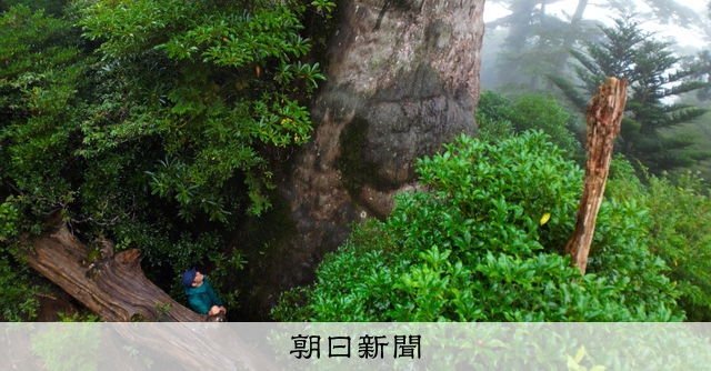 あったかさん　かしわ哲　報知ドキュメント大賞 山内研究員と鈴木恵二教授の共著論文がICAROBでBest Paper Award