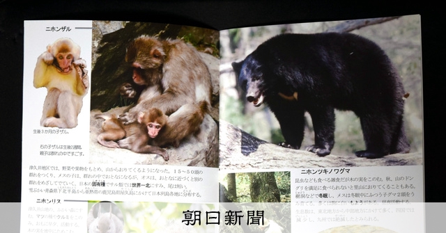 元児童書編集者を動かした子どもの珍答 身近な動物集めた冊子を作成