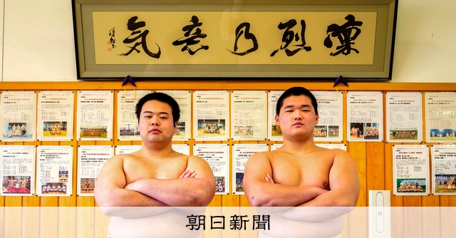 リンスタームレビィ画集　相撲の世界 37 【安美錦 竜児】BBM 2021 大相撲カード レジェンド -ヒーローズ