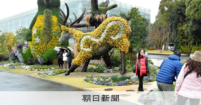 浜名湖花博「草花喜ぶ」雨の開幕 国内外から観光客、さっそく散策 [静岡県]：朝日新聞