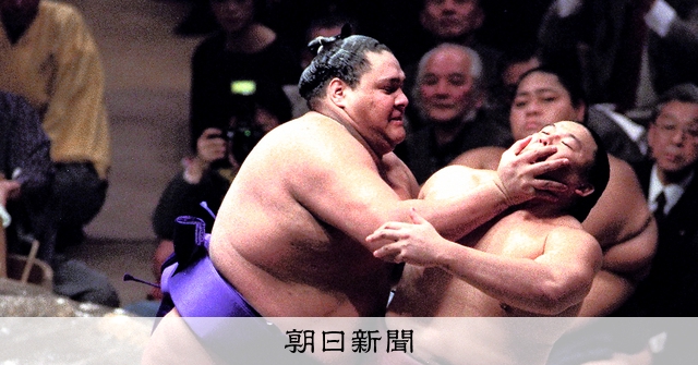 有田焼 希少 大相撲 若貴世代 ＜評伝＞最強の突き、若貴と一時代 礼節